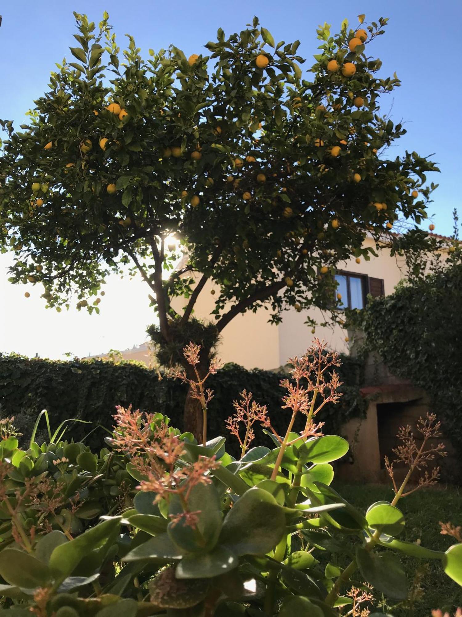 Cityloft Olbia Kültér fotó